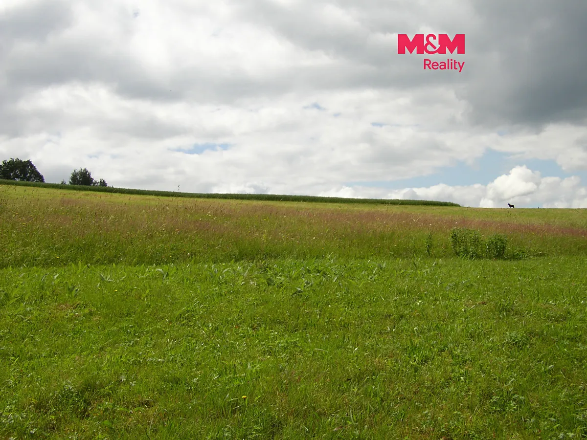 Prodej louky 4214 m²